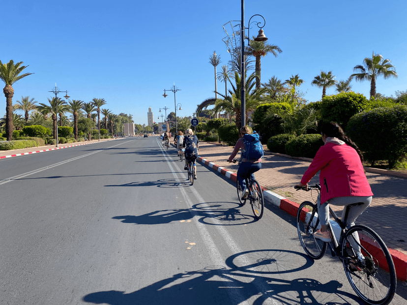 12-daagse Marokko-reis: Marrakech, Hoge Atlas & Woestijn — reisbeeld 5
