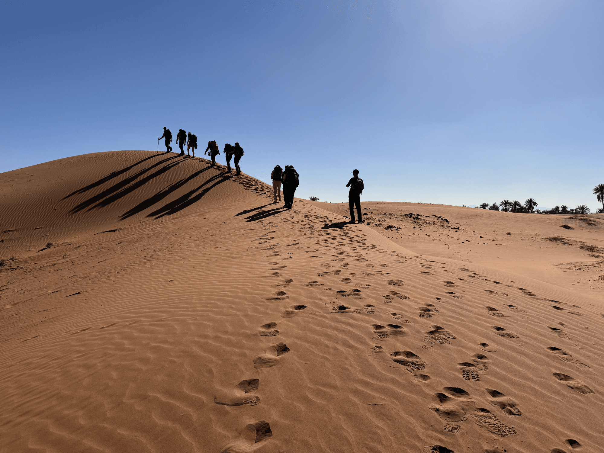 10-daagse Oudejaars - Sahara-trekking in groep