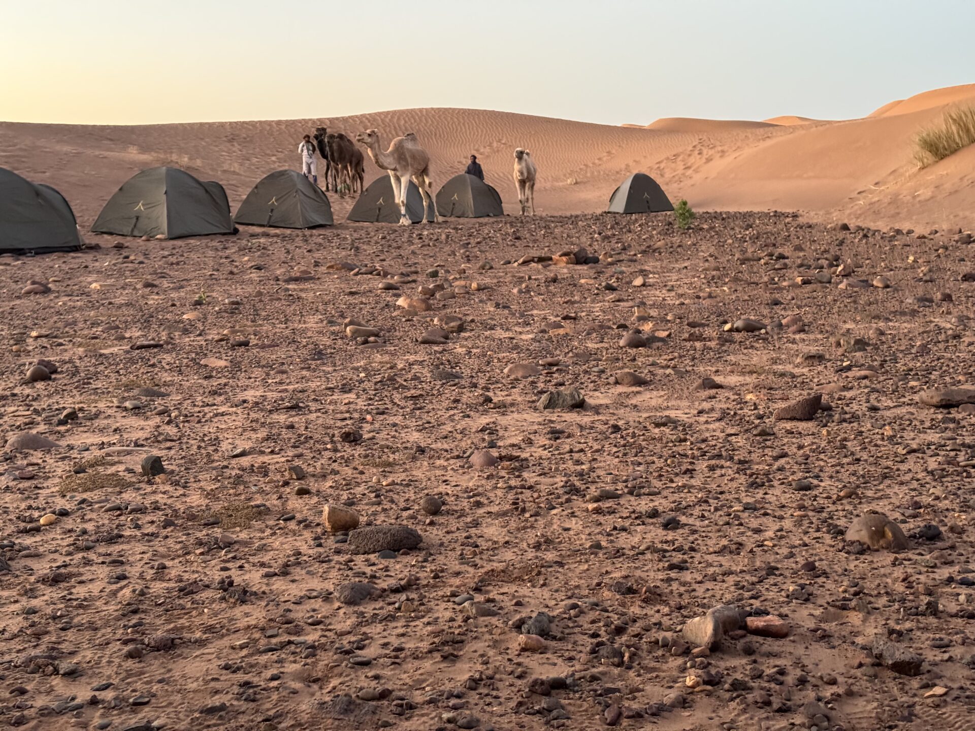 Tenten bij kampeertocht in de Sahara - ResetTravel